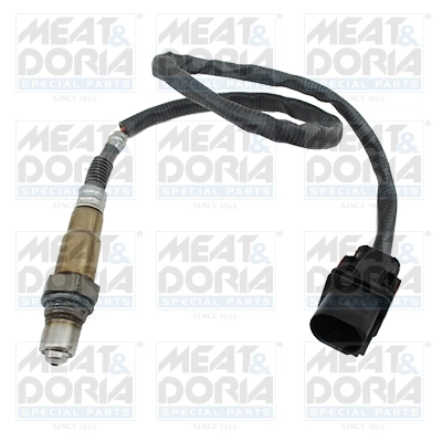 Oxygen Sensor